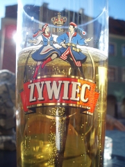 polish beer